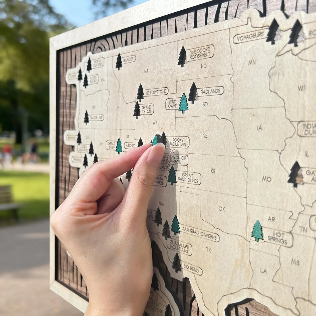 Craftpilot Custom Wooden US National Parks Travel Map (Walnut Wood Back)