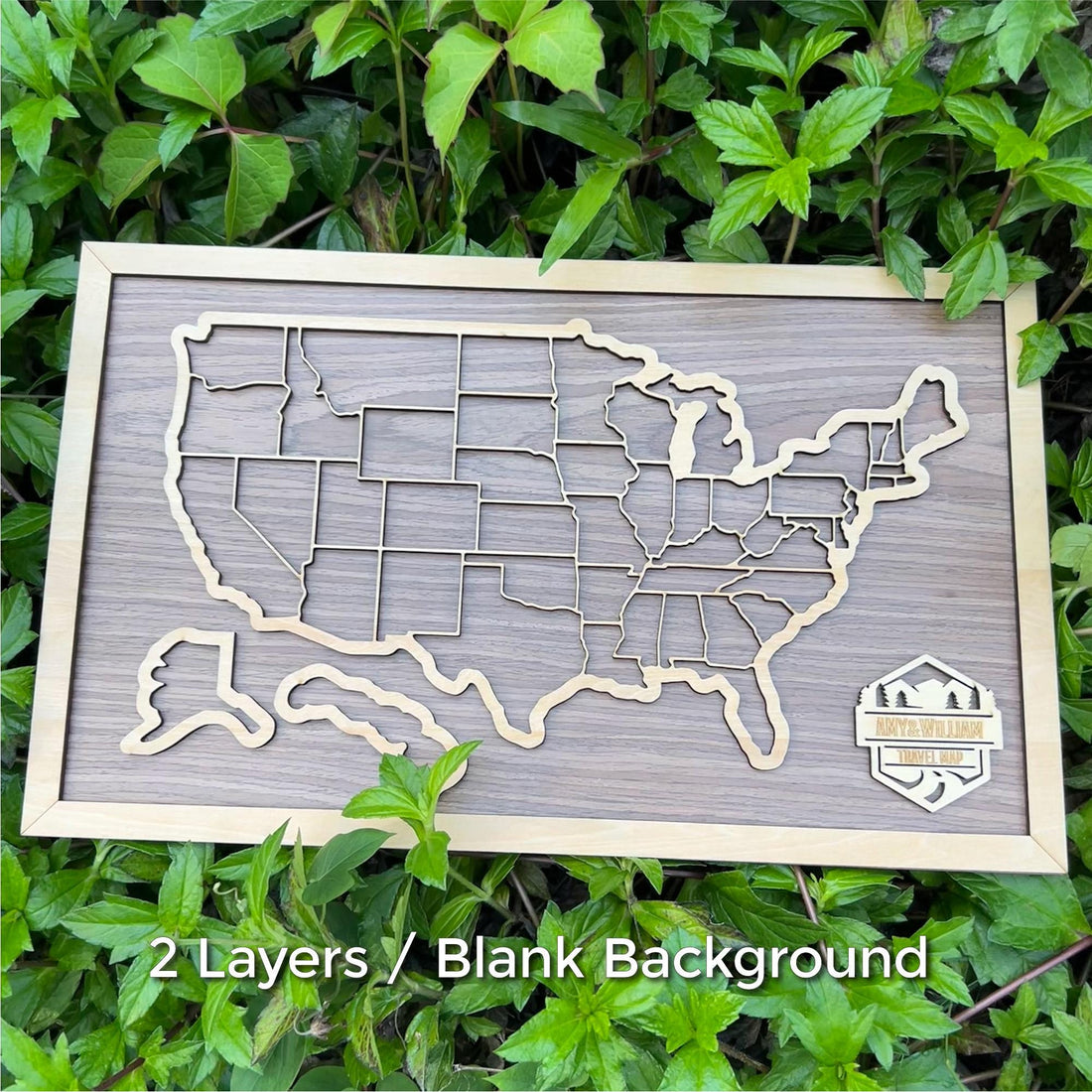 Personalized Wooden USA Travel Map - 50 States Pins